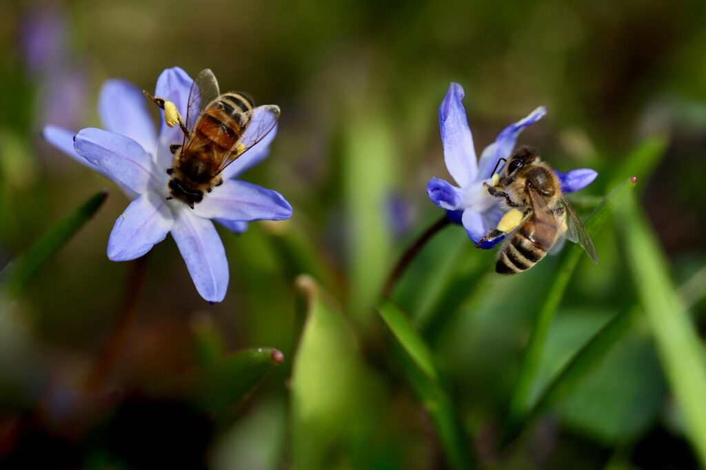 酵素ダイエットが花粉症を悪化させる理由とは？