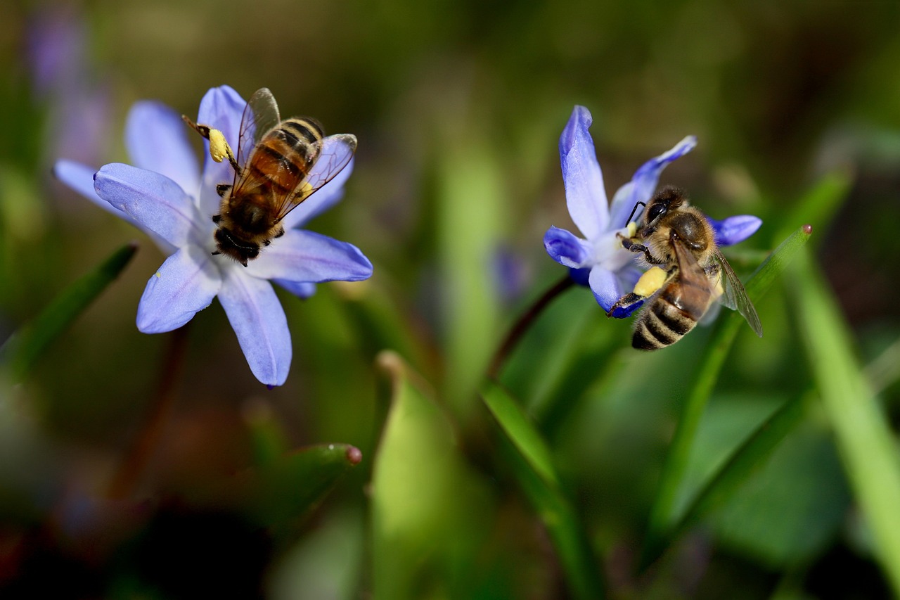 酵素ダイエットが花粉症を悪化させる理由とは？