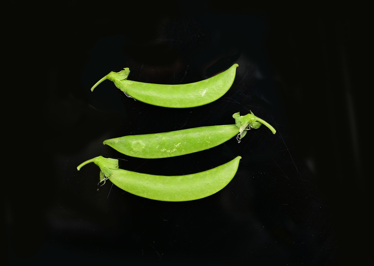 酵素ダイエットの成分表の見方を徹底解説しますか？