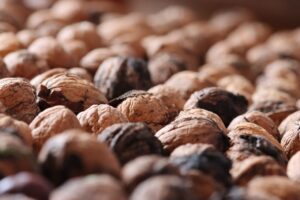 酵素ダイエットにおける生酵素とは何？