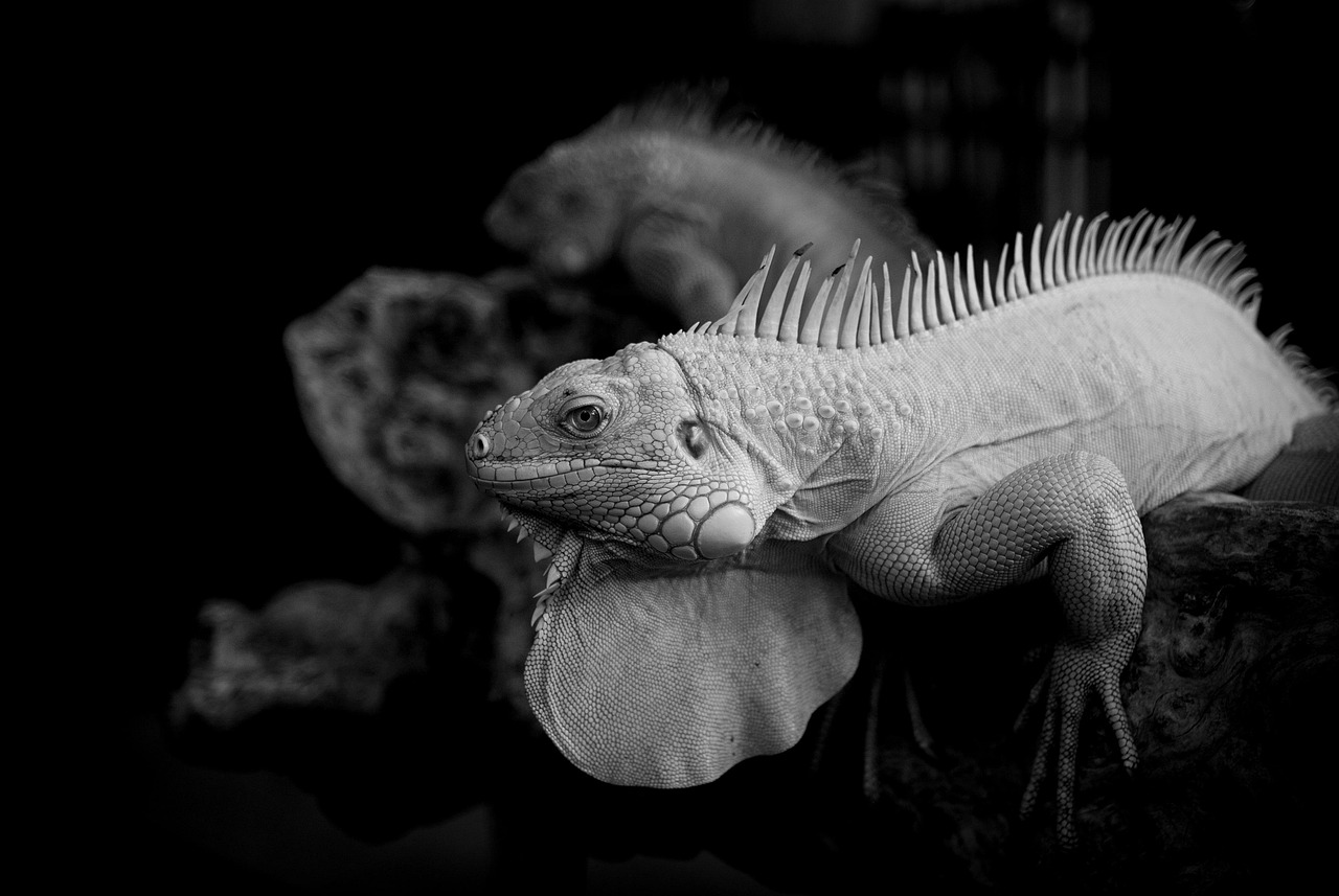 酵素ダイエットは医療監修ありで安心して試せるのか？