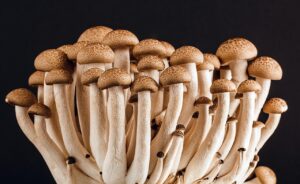 酵素ダイエットで夜の食べ過ぎを防止する方法は？
